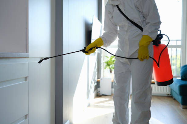 Best Commercial Mold Removal  in Mountain View Ranches, AZ